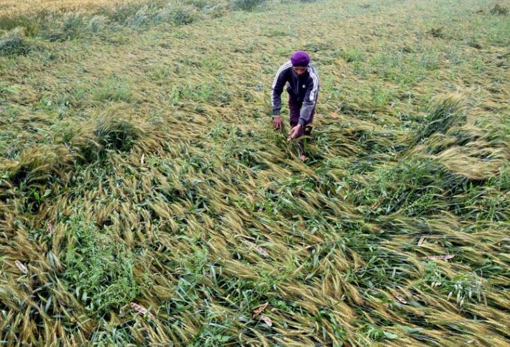 Weather Report: ਪੱਛਮੀ ਗੜਬੜੀ ਕਾਰਨ ਮੀਂਹ ਜਾਰੀ ਰਹਿਣ ਦੀ ਸੰਭਾਵਨਾ, ਕਿਸਾਨ ਸਹਿਮੇ